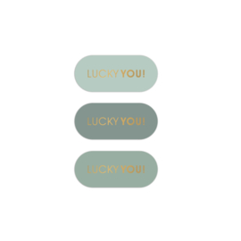 Cadeau stickers - retro ovaal Lucky you! - salie - 6 stuks