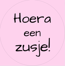 Hoera een zusje 21 stuks