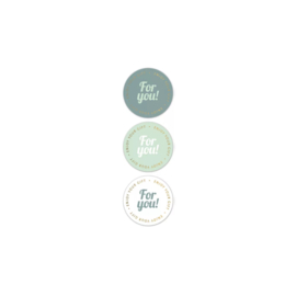 Stickers For you! - Salie mint groen wit - 6 Stuks