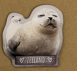 Magneet Zeehond