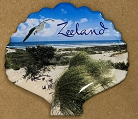 Magneet Schelp strand