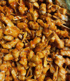 Gegaarde kip saté stokjes -  piri piri