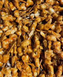 Gegaarde kip saté stokjes -  teriyaki