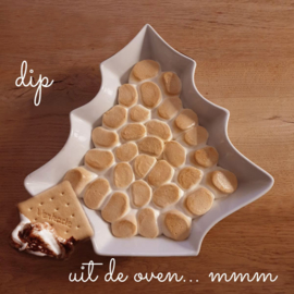 biscuitjes, smeltchocolade en warme marshmallows