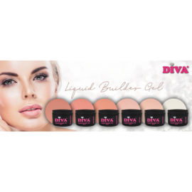 DIVA Liquid Builder Gel Collection 6x 30 ml - met gratis Colorpop Stickers en Fineliner