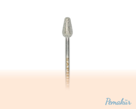 Saffier instrument S 302.050