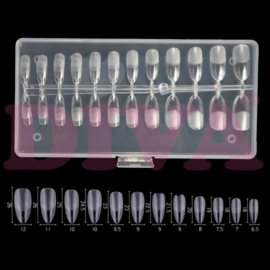 Press-On/ Show Tips MATT Almond Short Clear in een box 240 Pcs