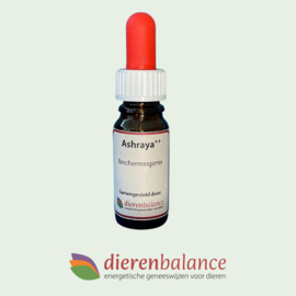 Dierenbalance Ashraya ++ 10 ml