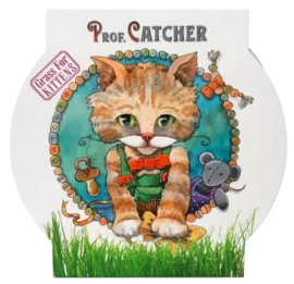 Professor Catcher Kattengras Kweek kit