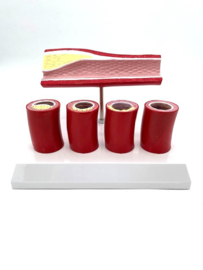 Atherosclerose vaatmodel