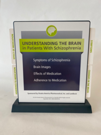 Schizofrenie model (transparant hersen helft)