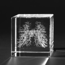 Educatieve 3D glas modellen