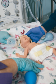 Erler Zimmer Micro-Preemie neonatale oefenpop