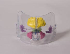 Sinus model (transparant)