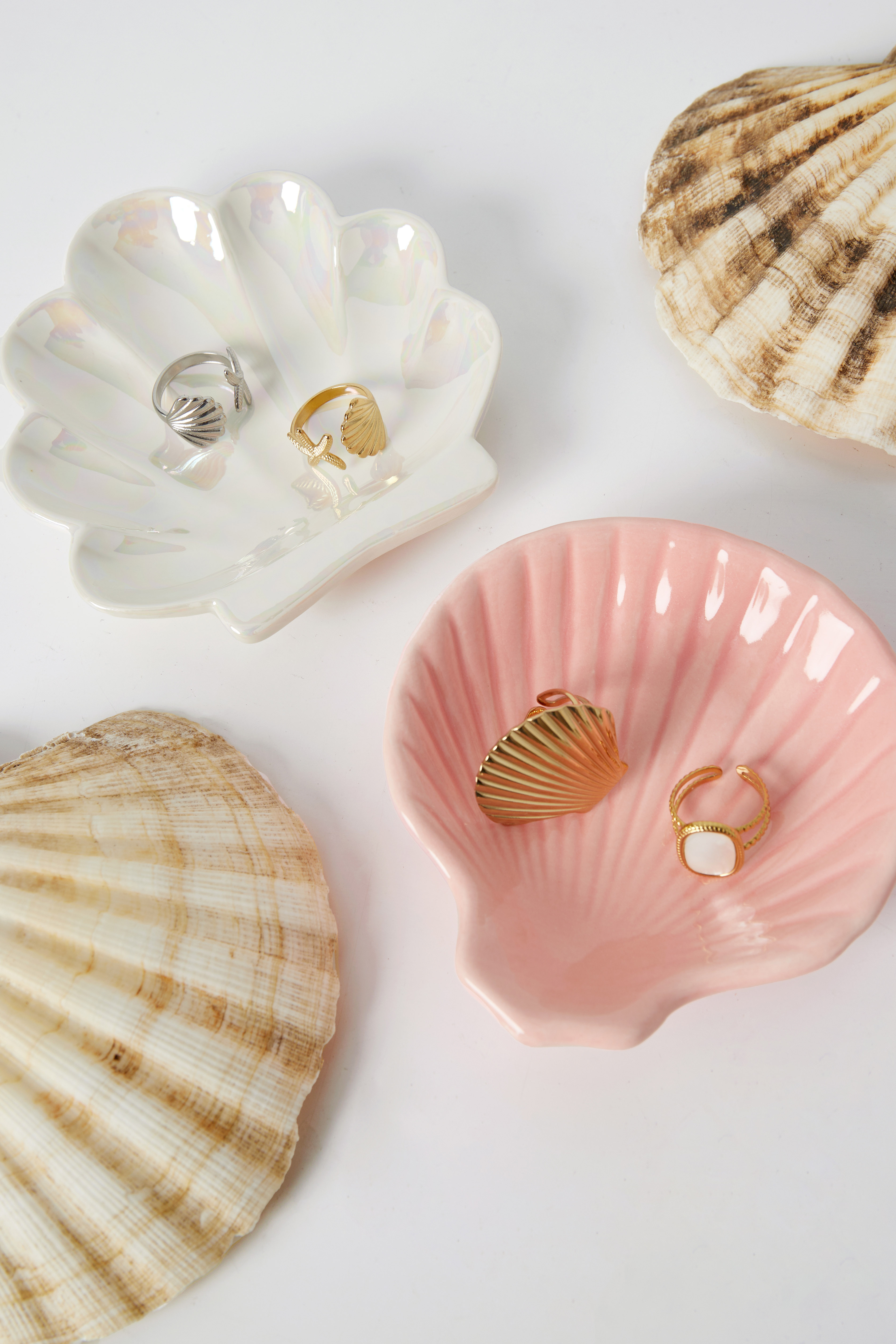 Accessoires