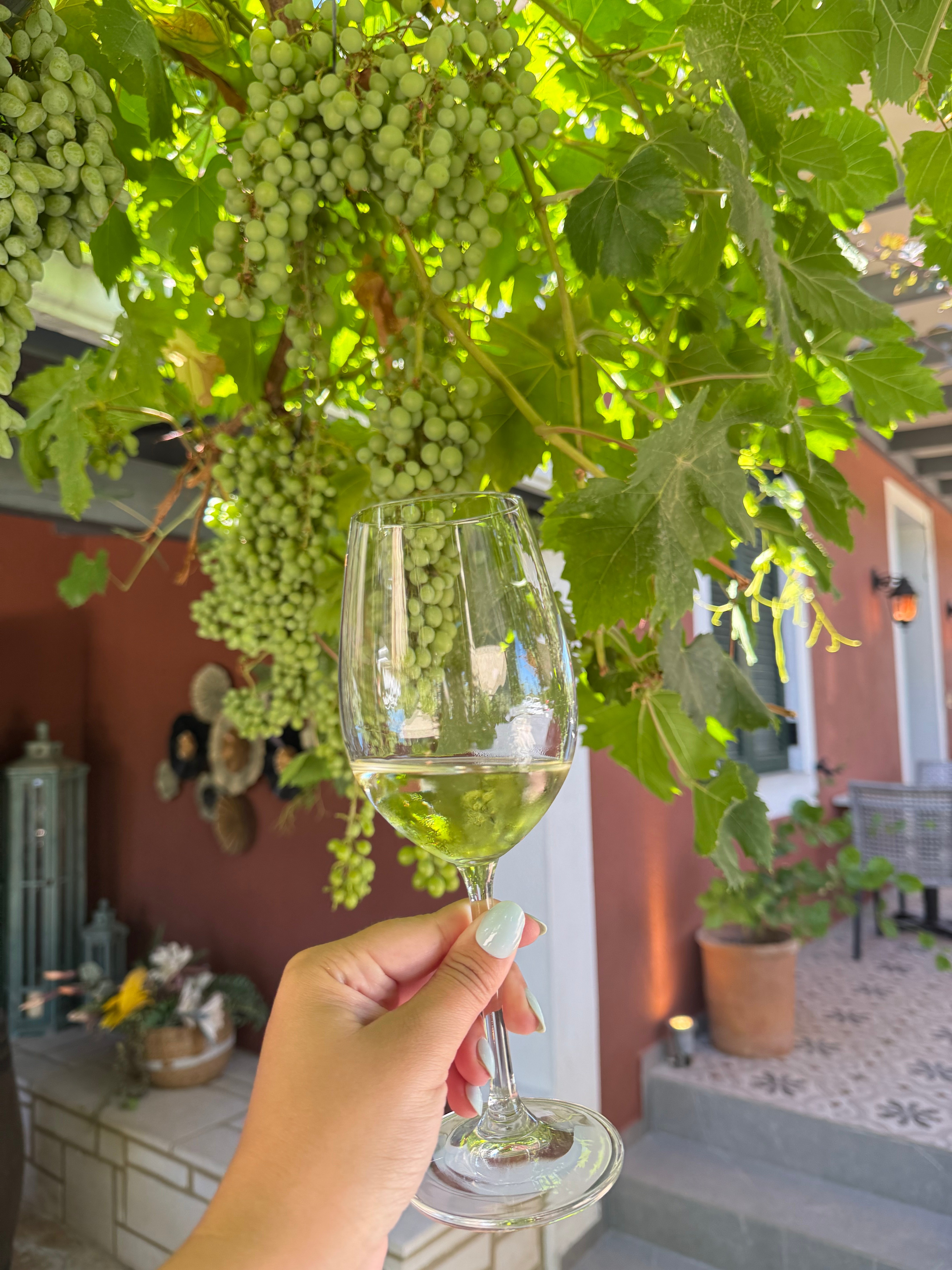 High wine Grampsas winery