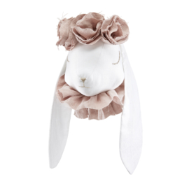 Rabbit Powder Flowers