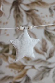 Slinger Star "Star Dust"