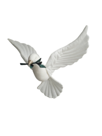 Pigeon- Cream