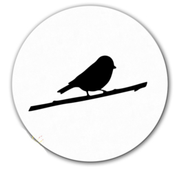 MUURCIRKEL | Vogeltje
