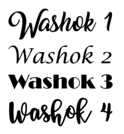 DEURSTICKER | Washok