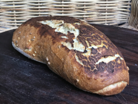 Bio Mosterd-brood (bio desem)