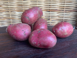 NIEUWE OOGST Biologische ALOUETTE aardappel (rode schil), verpakt per kilo