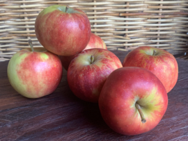 Biologische RED Jonaprince Appels  Nederland