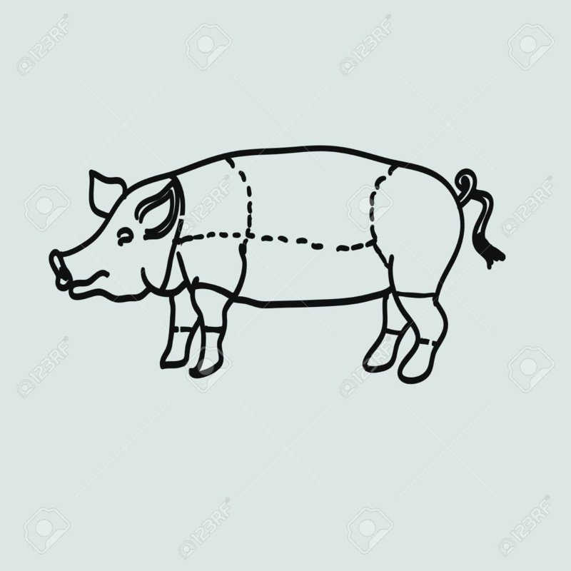 1088-Bio varkens-gehakt ca. 250 gram