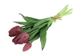 Tulipa boeket paars
