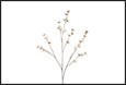 Kunstbloem Zinnia crème - L15B15H108CM