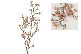 Prunus jamasakura Vika L roze