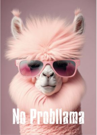 Poster A5 No Probllama