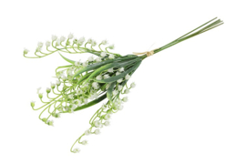 Convallaria majalis wit