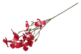 Dogwood tak M fuchsia