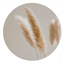 Muurcirkel pampas gras 30cm