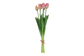 Tulipa boeket 3Dp s roze/crème