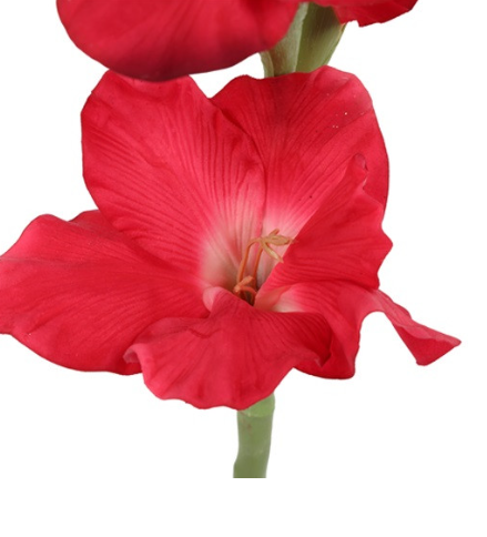 Kunstbloem bloem Gladiolus rood
