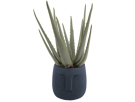 Plant Pot Face blauw