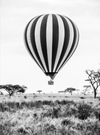 Poster luchtballon A4