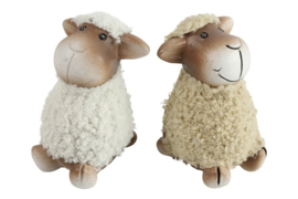 Schaap Brendon S assortiment