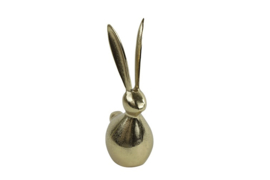 Haas Anne M goud