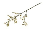 Cornus S crème