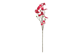 Dogwood tak M fuchsia