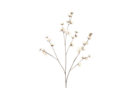 Kunstbloem Zinnia crème - L15B15H108CM