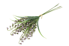Convallaria majalis paars