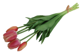 Tulipa boeket 3Dp s zalm/crème
