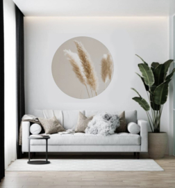 Muurcirkel pampas gras 30cm