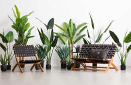 STRELITZIA KUNSTPLANT GROEN 164CM