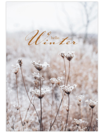Poster A4 Hello Winter